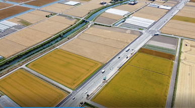 442号筑後バイパス道路拡幅工事